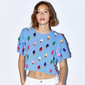 Zara Sweater/Crop Top